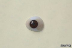 <b>想要提高義眼的使用壽命，應(yīng)嚴(yán)格做好日常保養(yǎng)</b>