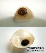 <b>義眼片帶多久要換一次？</b>
